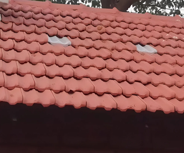 Plastic Transparent Mangalore Tile